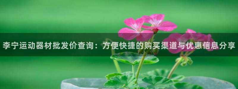 球客岛官方正版app娱乐40996：李宁运动器材批发价查询：