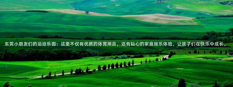 球客岛官网下载招商电话：东莞小朋友们的运动乐园：这里