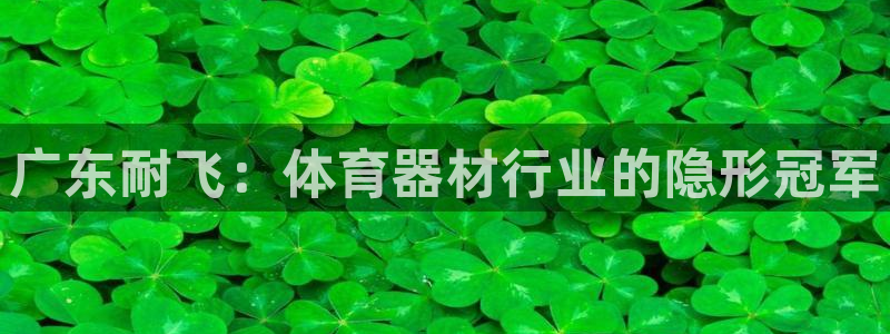 球客岛官方正版app集团官网首页网址：广东耐飞：体育