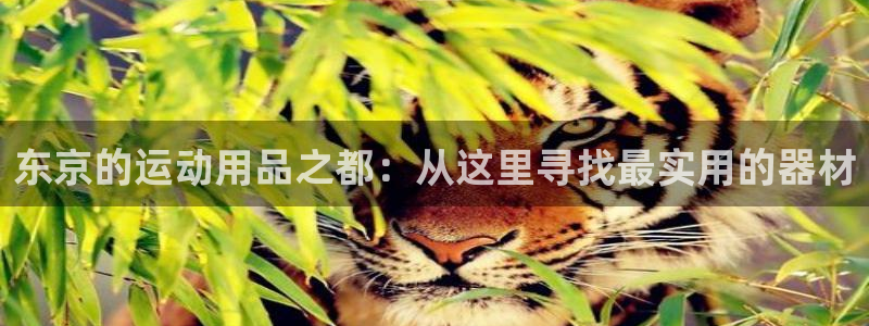 球客岛官方正版app集团官网首页：东京的运动用品之都