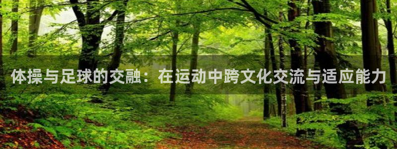 77体育app下载官网：体操与足球的交融：在运动中跨文化交流与适应能力