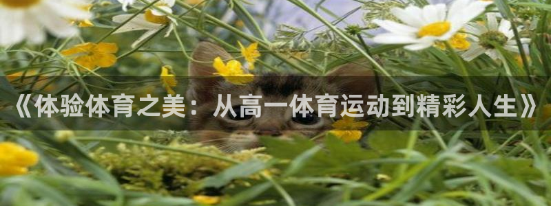 77体育官网：《体验体育之美：从高一体育运动到精彩人生》