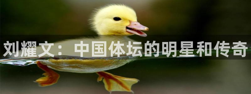 皇冠277体育：刘耀文：中国体坛的明星和传奇