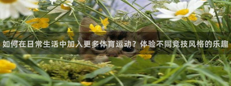 77体育官网：如何在日常生活中加入更多体育运动？体验不同竞技风格的乐趣