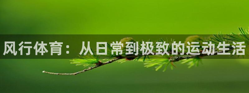 77体育app下载官网：风行体育：从日常到极致的运动生活