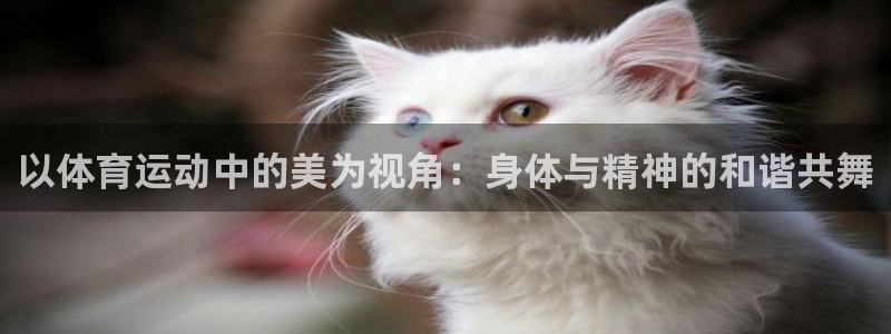 皇冠277体育：以体育运动中的美为视角：身体与精神的和谐共舞