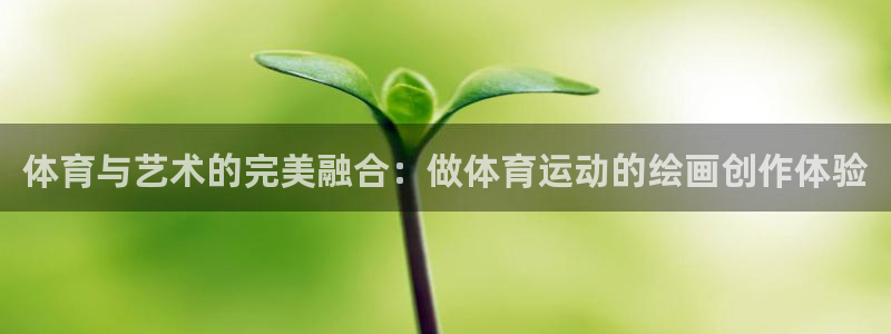77体育官网：体育与艺术的完美融合：做体育运动的绘画创作体验