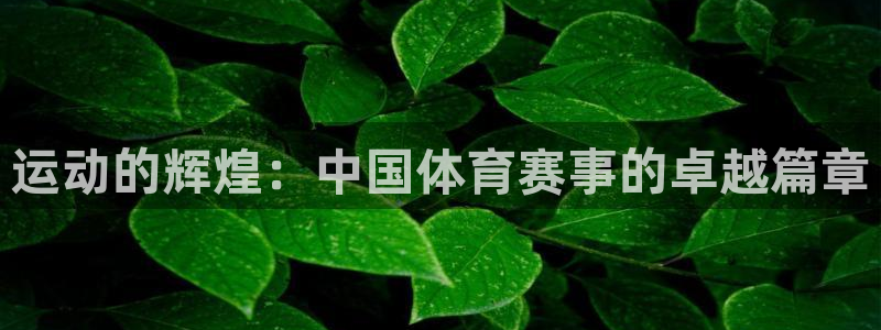 77体育官网：运动的辉煌：中国体育赛事的卓越篇章