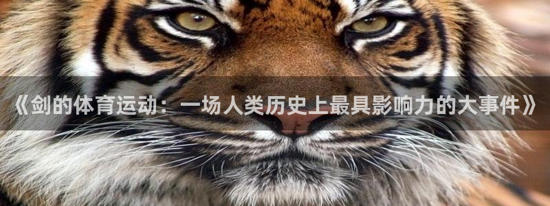 皇冠277体育：《剑的体育运动：一场人类历史上最具影响力的大事件》