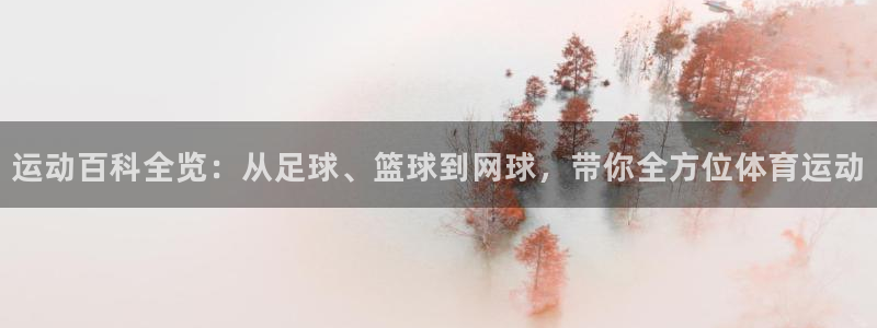 77体育：运动百科全览：从足球、篮球到网球，带你全方位体育运动