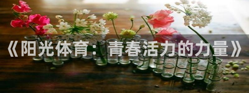 77体育app下载官网：《阳光体育：青春活力的力量》